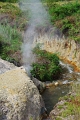 Dieng Plateau 'Kawah Sikidang' 21_10_2010 (19)